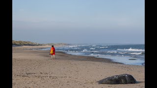 Hirtshals der Fischer und Fährhafen in Dänemark [upl. by Coppins]