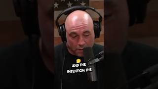 Joe rogan explores DMT shorts podcast [upl. by Shurlock]