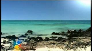 Corralejo in Fuerteventura Travel  Holidays  Pleasure Beach amp Weather Canary Island [upl. by Anaeirb]