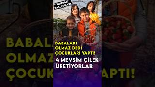 Sıfırdan başladılar 4 mevsim çilek yetiştiriyorlar başarı tarımhaber [upl. by Meehyr]