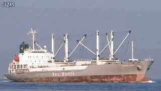 Shipspotting Japan  MV ARACENA CARRIER Reefer cargo ship 冷凍貨物船 Osaka Port 大阪港 2014MAR [upl. by Lorens]