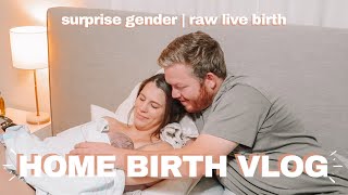 HOME BIRTH VLOG SURPRISE GENDER  RAW amp UNFILTERED BIRTH OF BABY 3  Emma Donaldson [upl. by Renaldo518]