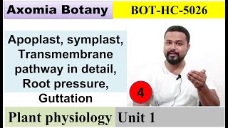 L4 Pathway Root pressure Guttation  Plant Physiology Dr Rajib BorahBsc Botany Axomia Botany [upl. by Annocahs]