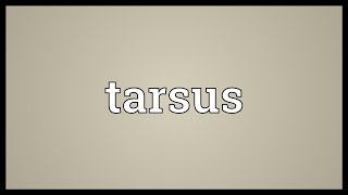 Tarsus Meaning [upl. by Risan969]