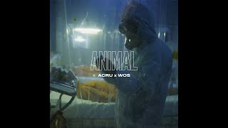 ACRU x WOS  ANIMAL VIDEO OFICIAL [upl. by Jamin]