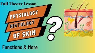 Physiology Histology Of SkinTheory Layers of Skin Explained [upl. by Gibbons]