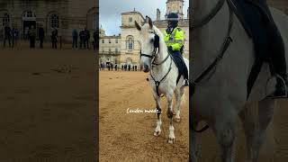 Heartwarming Moment Officer and Her Steed 🐴 london travel royalguard 🇬🇧 [upl. by Aniroz]