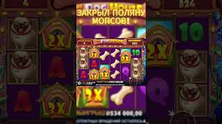 ПОЛЯНИЩЕ МОПСОВ НА 5 БУДОК в DOG HOUSE shorts заносынедели doghouse [upl. by Whiney]