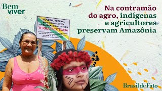 Na contramão do agro indígenas e agricultores preservam Amazônia  Bem Viver [upl. by Premer]