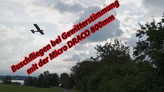 Buschfliegen bei Gewitterstimmungmit der Micro DRACO 800mm [upl. by Tristram]