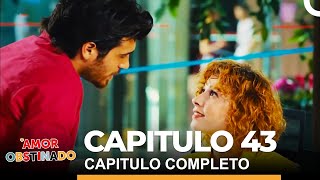 Amor Obstinado Capitulo 43 Completo [upl. by Yanel573]