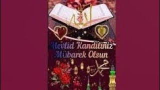 Mevlid Kandili Mesajları 2024🌹Mevlid Kandili Mesajı Videolu🌹RESİMLİ🌹YENİ🌹 SESLİ🌹DUALI mevlidkandili [upl. by Jonme663]