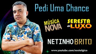 Pedi Uma Chance  Netinho Brito 2020  Seresta De Luxo [upl. by Eamaj162]