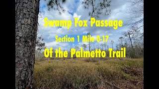 Tips For Hiking the Swamp Fox Section 1 of the Palmetto Trail [upl. by Dnalloh942]