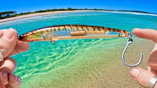 Beach fishing Australia for food [upl. by Fisher]