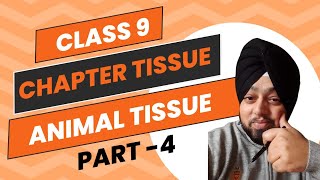 animal tissue class 9 animal tissue class 9 explanation  animaltissue class 9 [upl. by Edrei446]