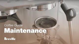 The Barista Express®  How to perform a cleaning cycle on your espresso machine  Breville USA [upl. by Jenette]