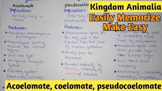 Acoelomate  Coelomate  Pdeudocoelomate  Kingdom Animalia  Class 11 [upl. by Elcin]