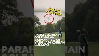 Wah parah Burungnya jadi gimana tuh shorts golf [upl. by Sweeney882]