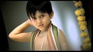 Havells wires that dont catch fire Grehpravesh TVC [upl. by Gennifer]