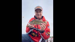 Kanawha River Smallmouth on a Whopper Plopper during our club tourney [upl. by Salomone273]