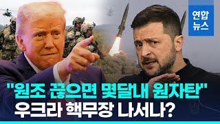 quot트럼프 군사원조 끊으면…우크라 몇달만에 원자탄 개발 가능quot  연합뉴스 Yonhapnews [upl. by Erodavlas476]