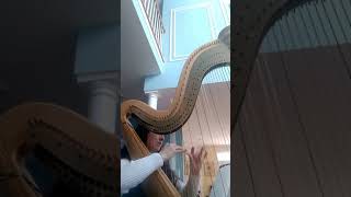 Gondoliera Op 39 Barcarolle Alphonse Hasselmans excerpt Lisa Hartman Harpist [upl. by Robaina28]