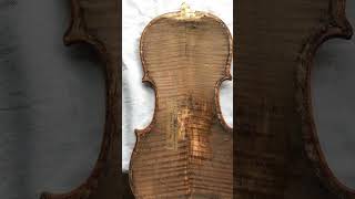 Скрипка Antonius Stradivarius Ceromonensis Faciebat Anno 1735 [upl. by Roswell]