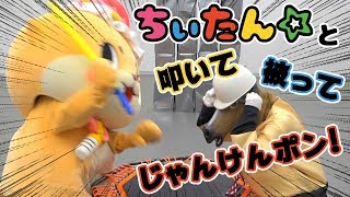 ちぃたん☆と「叩いて被ってジャンケンぽん！」をしたでフゥゥゥ٩ ᐛ و🐴 [upl. by Inatsed]