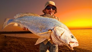 Unexpected Catch Mulloway Black Jewfish While Fishing for Barramundi [upl. by Yelsehc949]