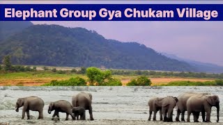 Elephant Group Gya Chukam Village [upl. by Gaskins578]