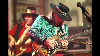 Stevie Ray Vaughan  Lenny standard tuning [upl. by Raddy]