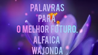 PALAVRAS PARA O FUTURO MELHOR ALFAICA WAJONDA [upl. by Upton]