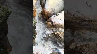 Gangotri to gomukh gangotri gomukh glacier himalayas savewater saveearth travel shortvideo [upl. by Enrique]