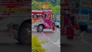 මායා කිරිල්ලි එයා  Maya Kirilli  Bus Love \ Lovers  Srilanka [upl. by Anerol]