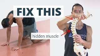 Wake Up This quotHiddenquot Muscle to Fix HUNCHBACK Posture aka Kyphosis [upl. by Netsud]