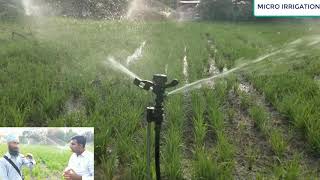 Mini Sprinkler  Sprinkler Irrigation System  Sprinkler Installation  Mini Sprinkler 10 x 10 meter [upl. by Bret814]