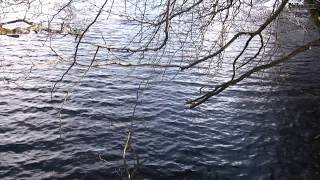 NaturWasser und Waldimpressionen 27 Chillout Entspannung Meditation Musik Music [upl. by Ev]