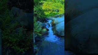 Forest waterfall sounds mountain Stream Relaxing river sounds relaxing nature relaxing water [upl. by Suryt]