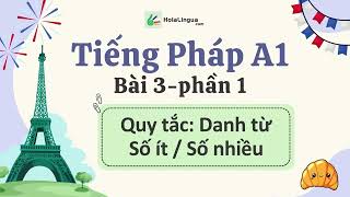 Singulier  Pluriel  Danh từ Số ít  Số nhiều trong tiếng Pháp  Tiếng Pháp A1  Bài 3  Phần 1 [upl. by Yellhsa]