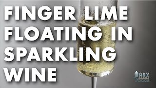 Finger Lime Floating in Sparkling Wine Video [upl. by Ramirol]