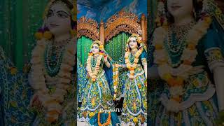 Sringar Arti darshan  ISKCON Mayapur Dham  13 November 2024 [upl. by Bidget520]