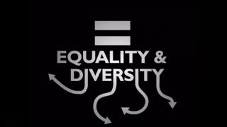 What is Equality amp Diversity [upl. by Yanrahs]