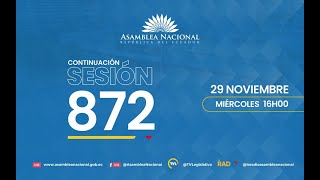 Continuación de la Sesión 872 del Pleno de la Asamblea Nacional [upl. by Barbra]