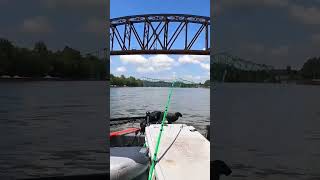 KANAWHA RIVER to the OHIO RIVER catfishingtips riverfishing catfishing [upl. by Ettolrahc]