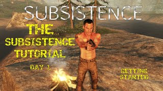 The Only SUBSISTENCE Tutorial You Need [upl. by Anse]