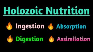 Holozoic NutritionProcess of Holozoic Nutrition  Ingestion  Digestion  Absorption  Assimilation [upl. by Airamesor]