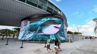 Nassau Bahamas Cruise Port  Cool Shark 3D Billboard [upl. by Elleunamme959]