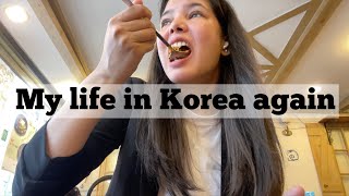 Life in Korea  Sonal Yadav🇰🇷 [upl. by Ulla]