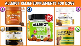 Best Allergy Relief for Dogs  Allergy Supplements for Dogs Reviews [upl. by Ivek940]